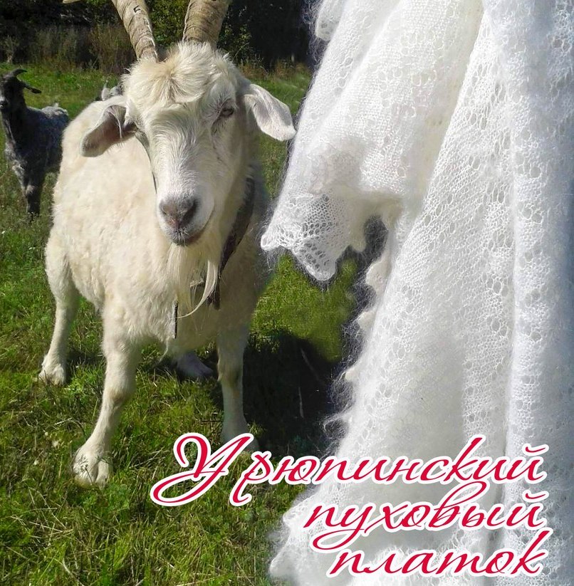 Как сделать заказ